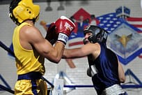 boxers