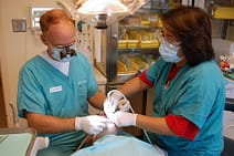  Dental Implants