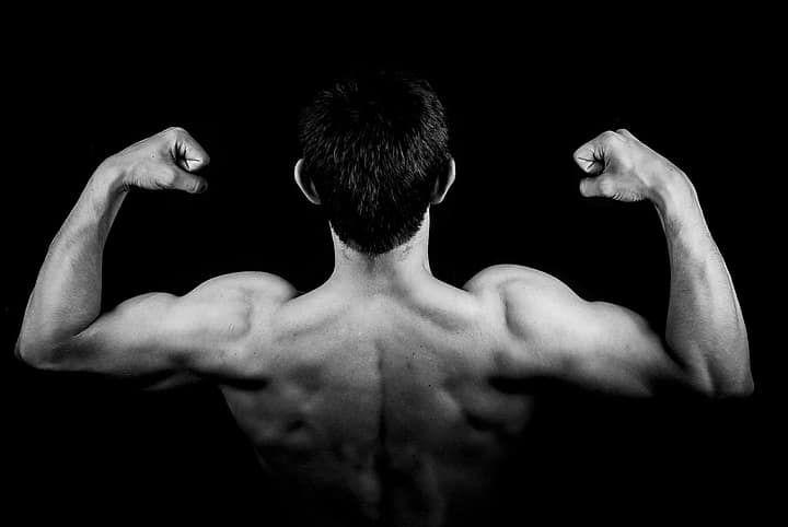 strong muscles
